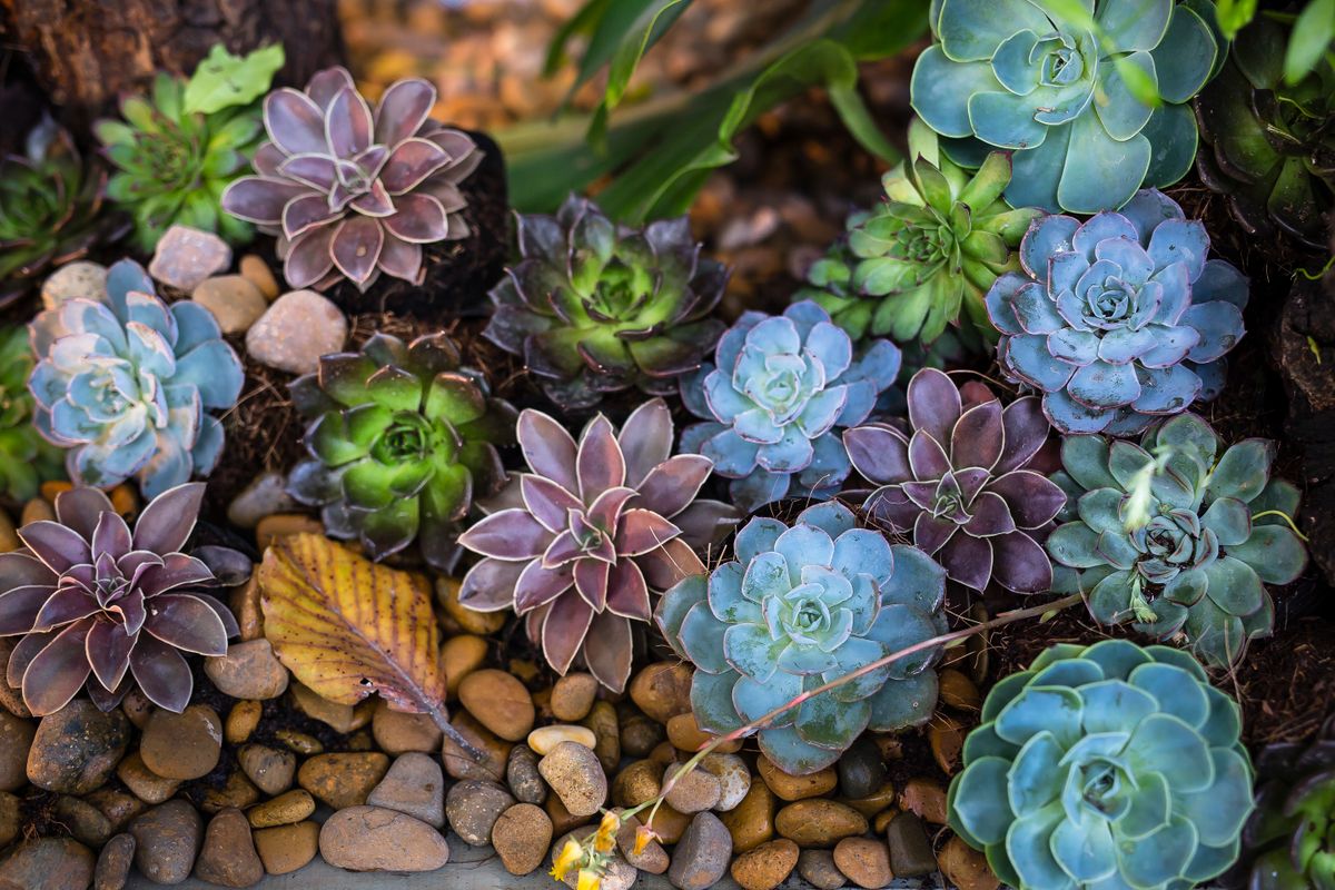 Gartenservice